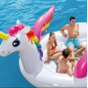 grande Bouet licorne